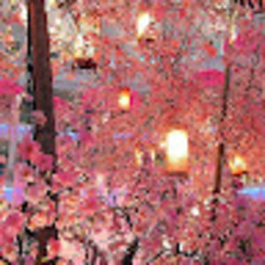 Meet your Posher, Graejyn